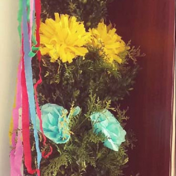 20190327_110439_Film4-1-1