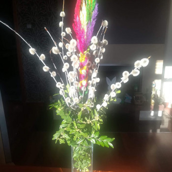 Resized_Screenshot_20200406-145328_Messenger_1692